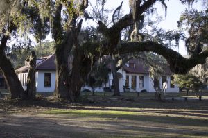 Looking at Penn Center through the mossy trees.