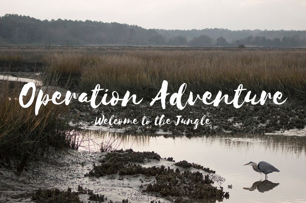 First Documentary Short Welcome to the Jungle released on&nbsp;YouTube